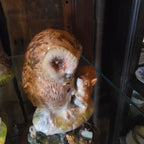 Beatrix Potter Old Mr. Brown