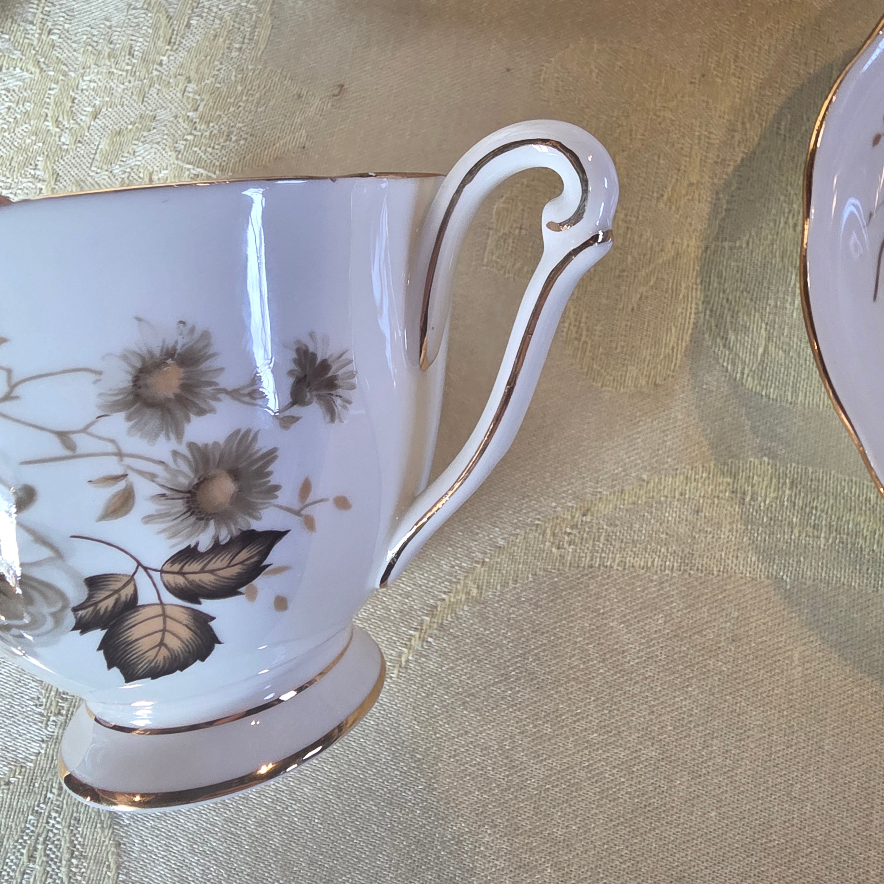 Vintage Queen Anne "Terra Nova" Bone China Teacup & Saucer Set, Brown Floral Transferware