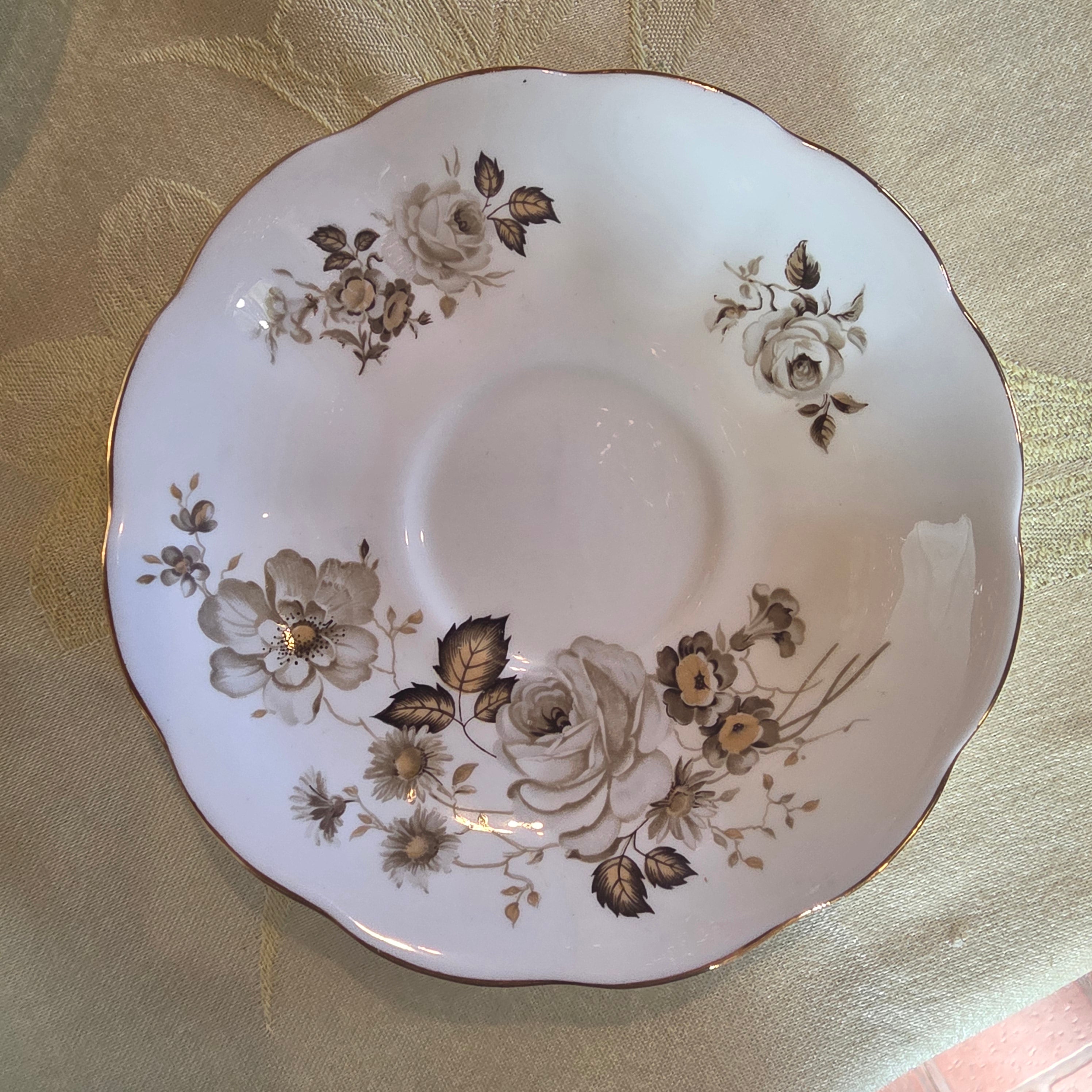 Vintage Queen Anne "Terra Nova" Bone China Teacup & Saucer Set, Brown Floral Transferware
