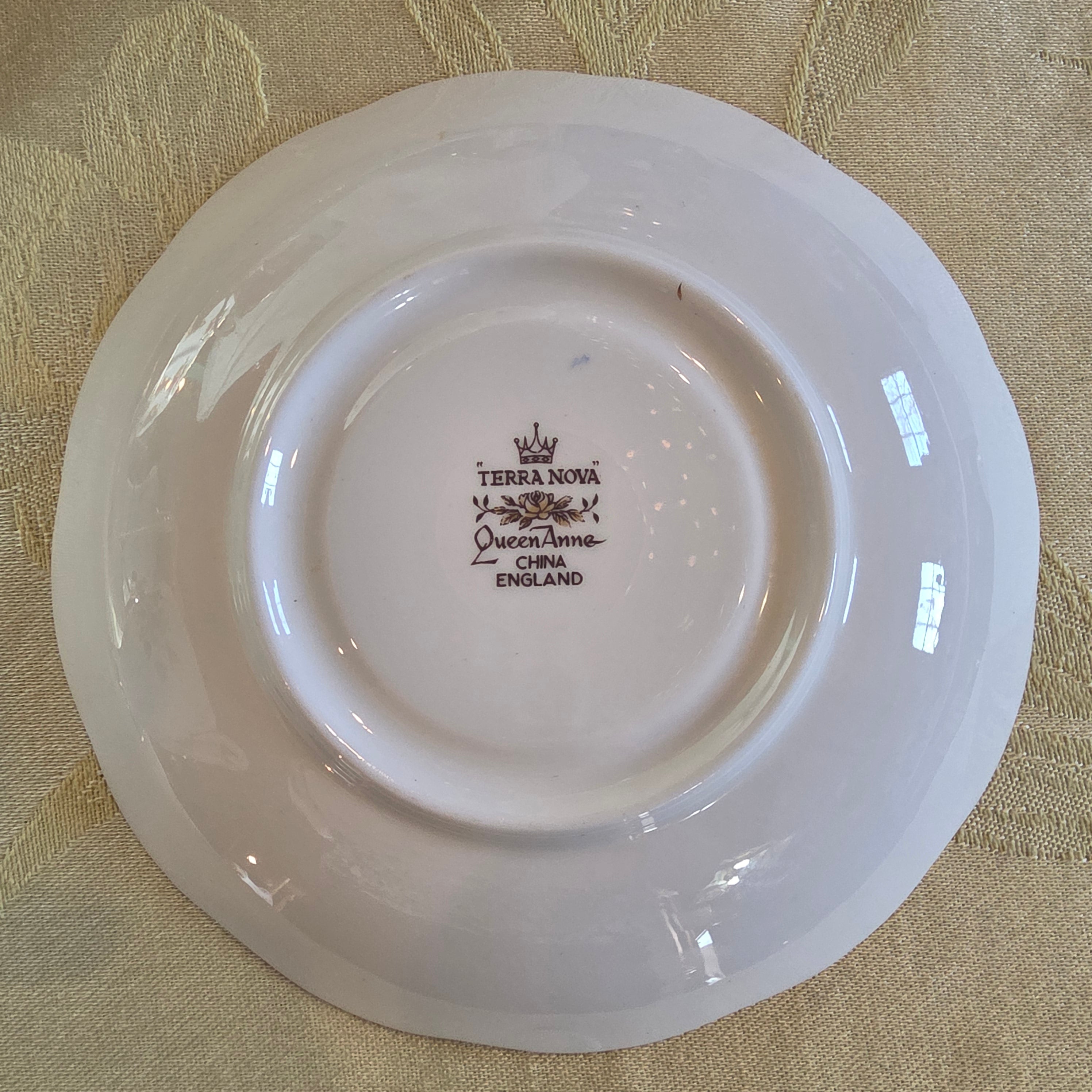 Vintage Queen Anne "Terra Nova" Bone China Teacup & Saucer Set, Brown Floral Transferware