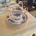Vintage Rosina Fine Bone China Tea Cup & Saucer Set | English Floral Gold Trim