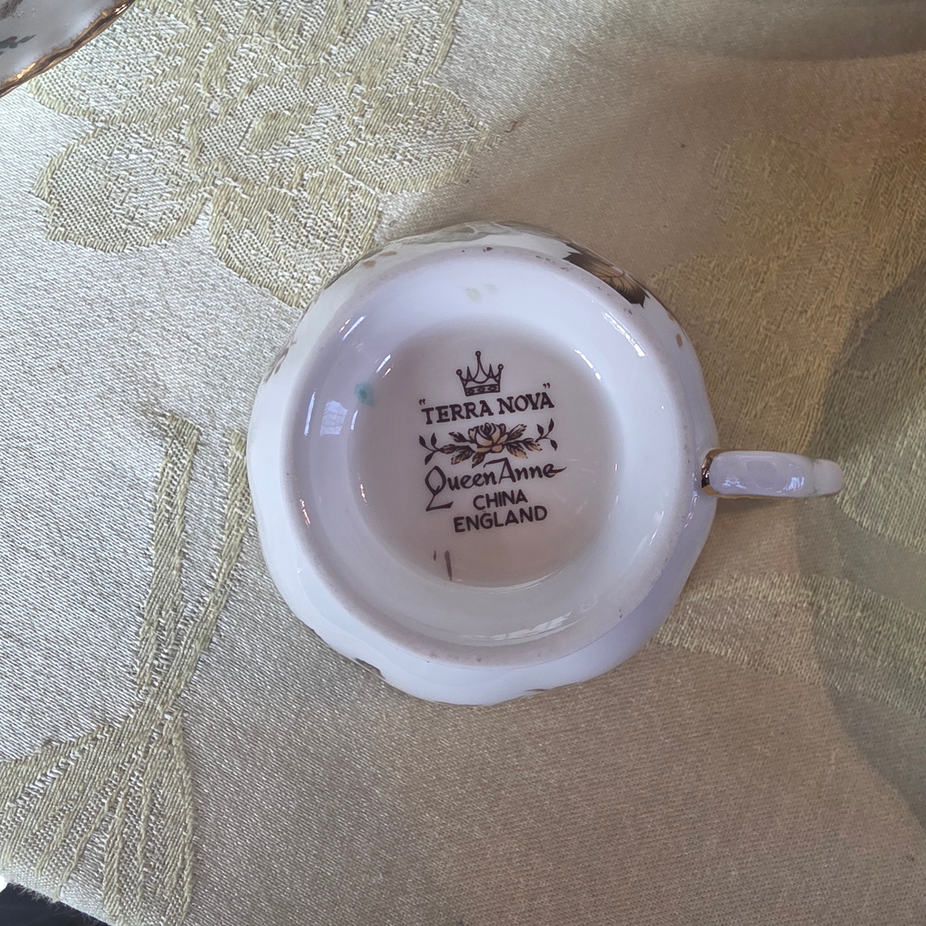 Vintage Queen Anne "Terra Nova" Bone China Teacup & Saucer Set, Brown Floral Transferware