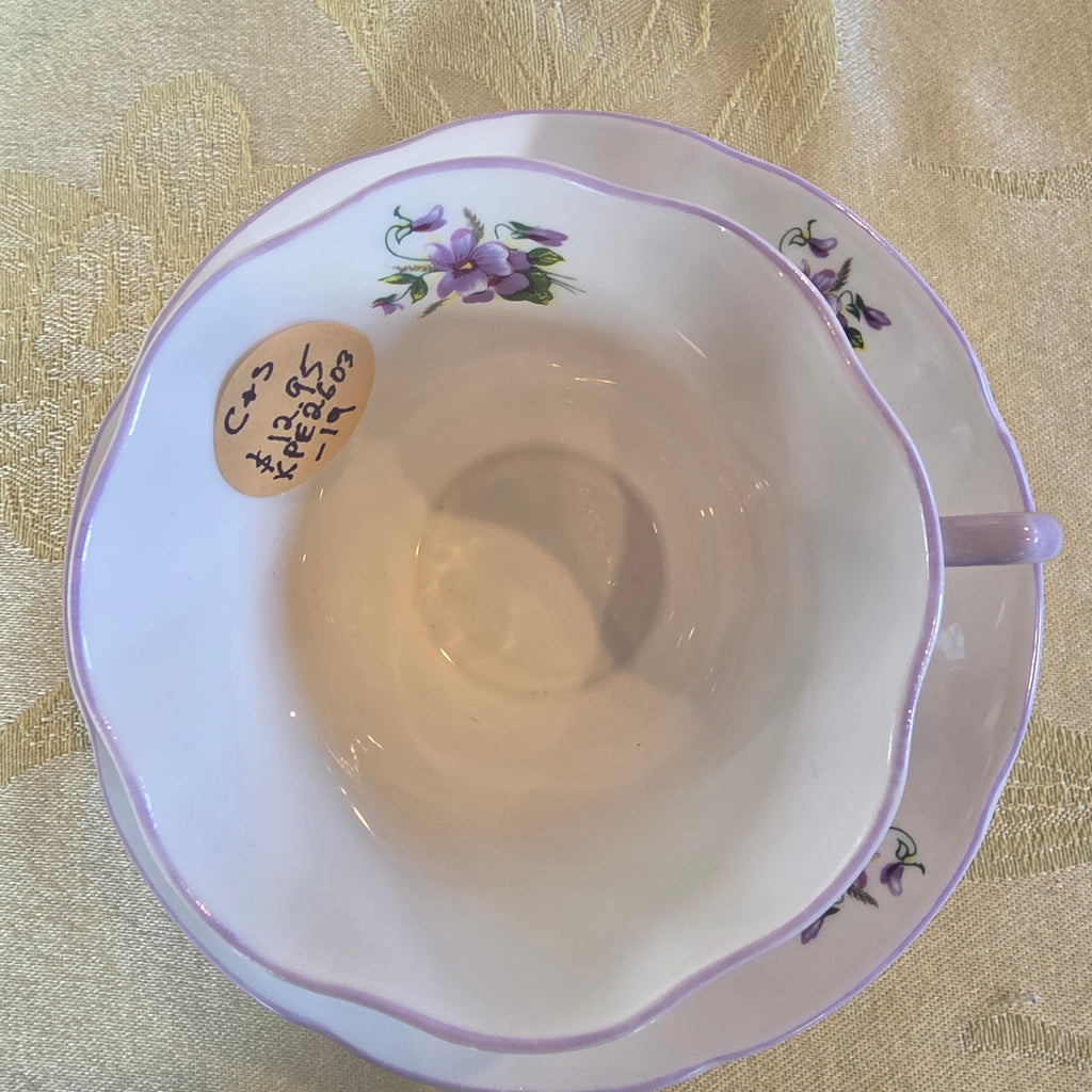 Vintage Rosina Bone China Teacup & Saucer Set - Purple Violets