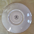 Vintage Rosina Fine Bone China Tea Cup & Saucer Set | English Floral Gold Trim
