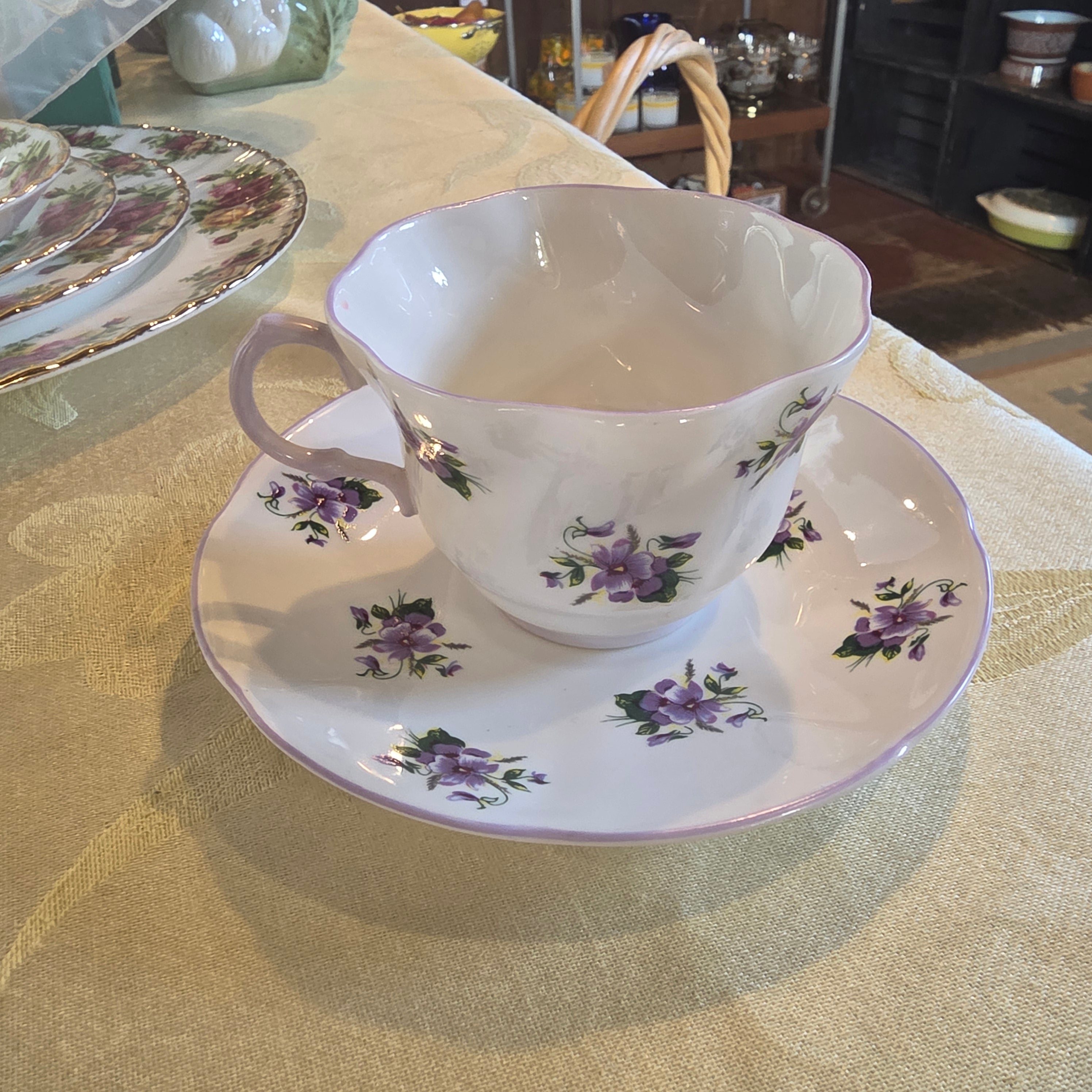 Vintage Rosina Bone China Teacup & Saucer Set - Purple Violets