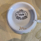 Vtg. English Bone China Royal Vale Cup & Saucer Pink Wild Rose with Gold Gilt Rim