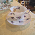 Vintage Rosina Bone China Teacup & Saucer Set - Purple Violets